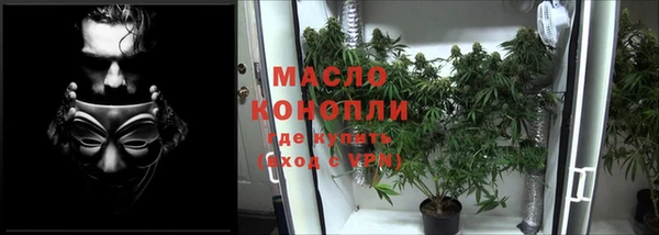 стафф Новодвинск