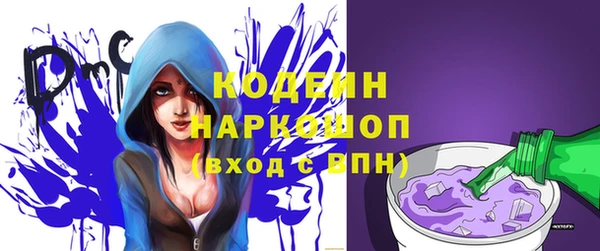 стафф Новодвинск